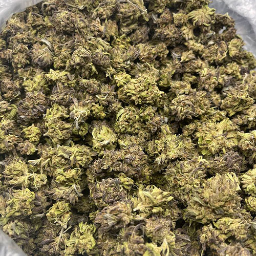 Purple Haze Weed Buy in Ibiza