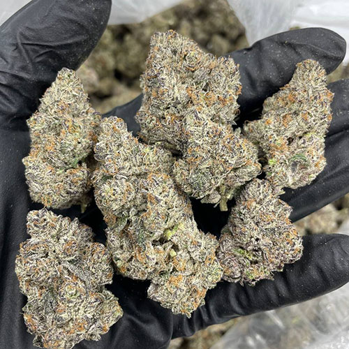 Rainbow Pie Weed Buy in Ibiza